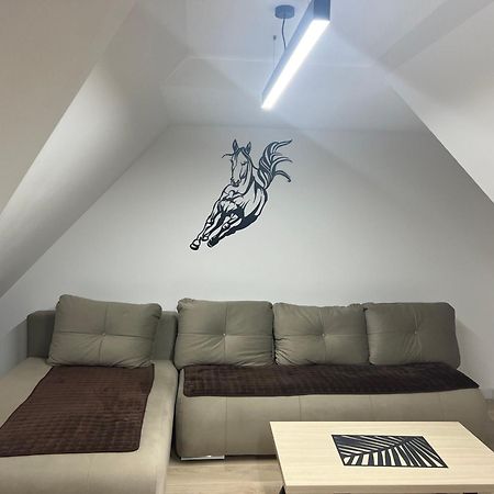 Family Apartmans Harry- Apartmans Of The Apart Hotel & Spa Zoned, Kopaonik - Special Benefit, Children Up To 13 Years Of Age Accompanied By Two Adults Stay For Free-Parking-Breakfast-Pool&Spa Luaran gambar